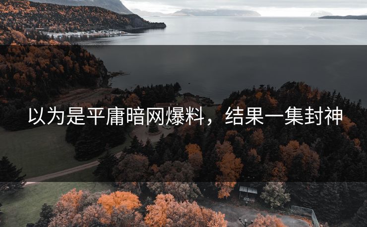 以为是平庸暗网爆料，结果一集封神