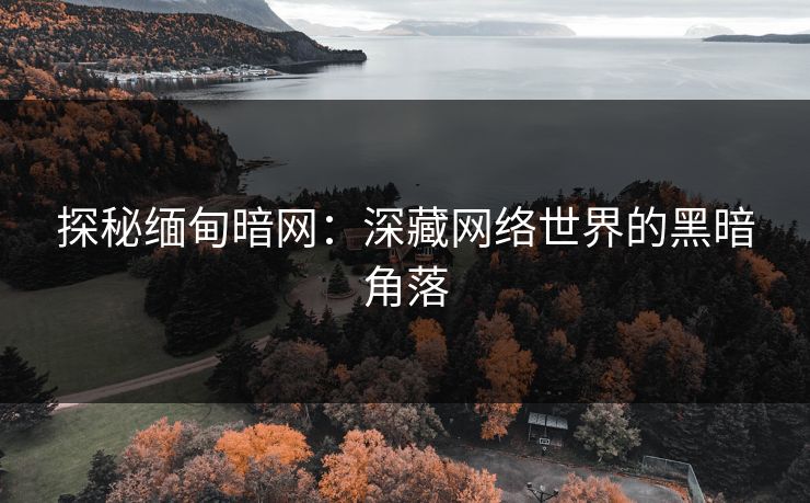 探秘缅甸暗网：深藏网络世界的黑暗角落