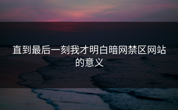 直到最后一刻我才明白暗网禁区网站的意义