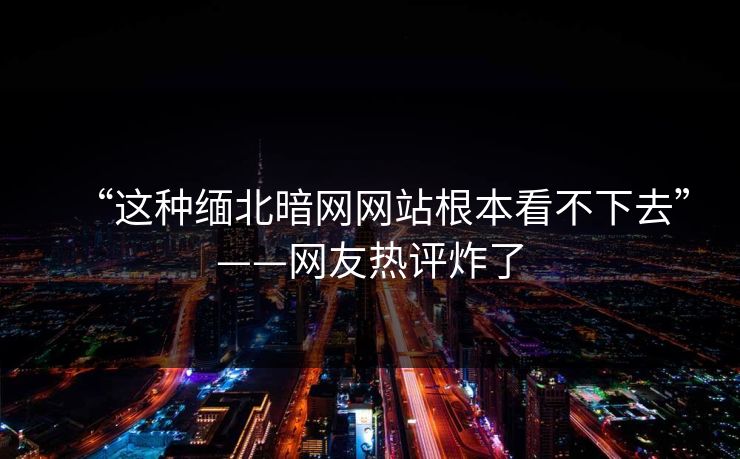 “这种缅北暗网网站根本看不下去”——网友热评炸了