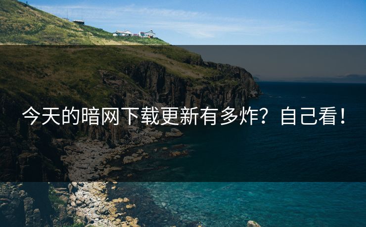 今天的暗网下载更新有多炸？自己看！