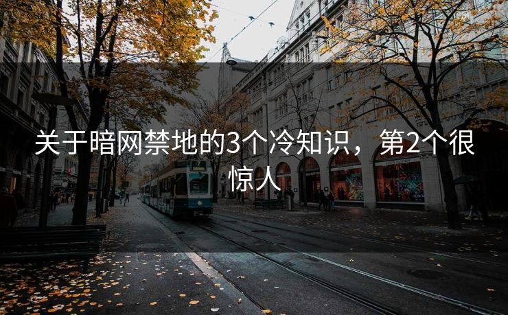 关于暗网禁地的3个冷知识，第2个很惊人