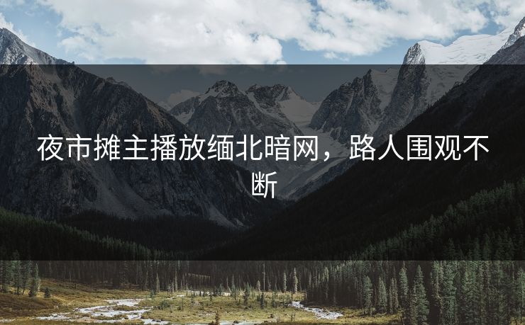夜市摊主播放缅北暗网，路人围观不断