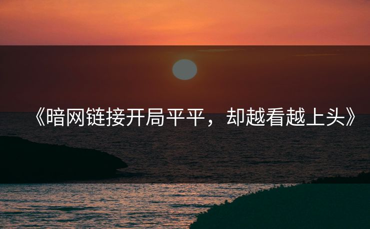 《暗网链接开局平平,却越看越上头》