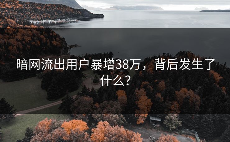 暗网流出用户暴增38万,背后发生了什么?