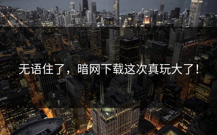 无语住了，暗网下载这次真玩大了！