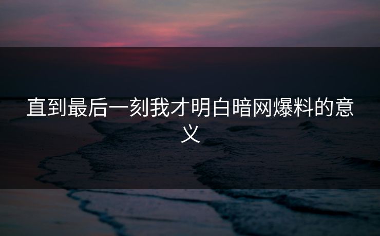直到最后一刻我才明白暗网爆料的意义