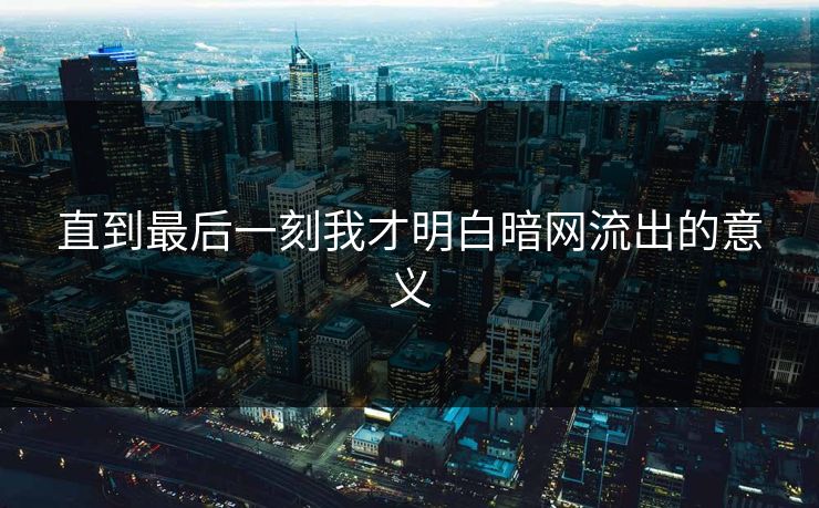直到最后一刻我才明白暗网流出的意义