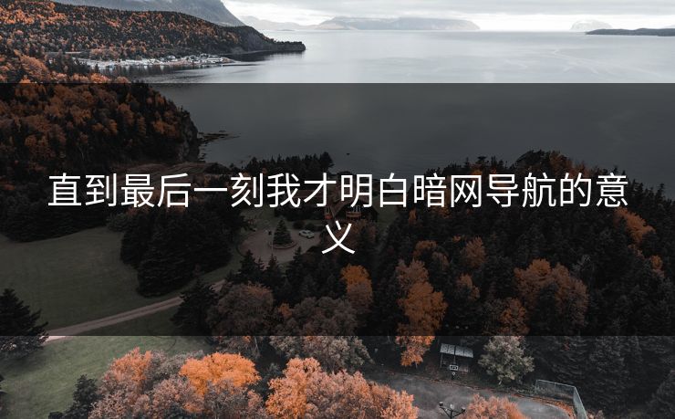 直到最后一刻我才明白暗网导航的意义
