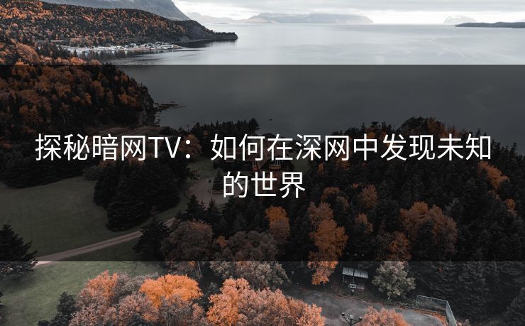 探秘暗网TV：如何在深网中发现未知的世界