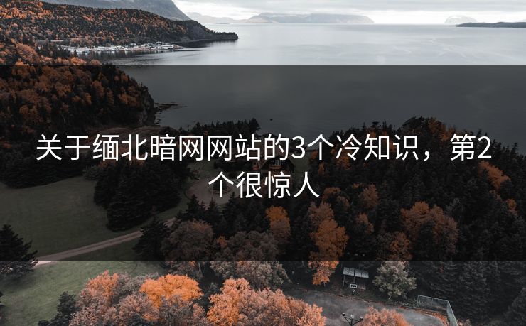 关于缅北暗网网站的3个冷知识，第2个很惊人