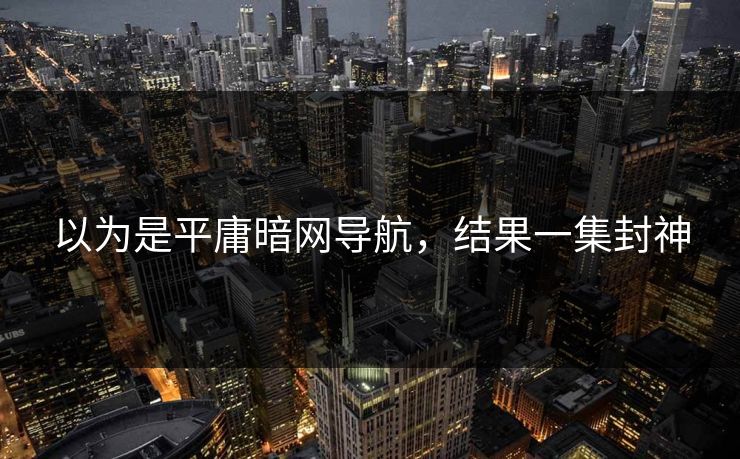 以为是平庸暗网导航，结果一集封神