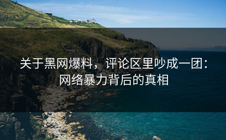 关于黑网爆料，评论区里吵成一团：网络暴力背后的真相