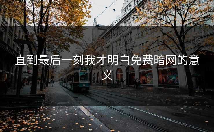 直到最后一刻我才明白免费暗网的意义
