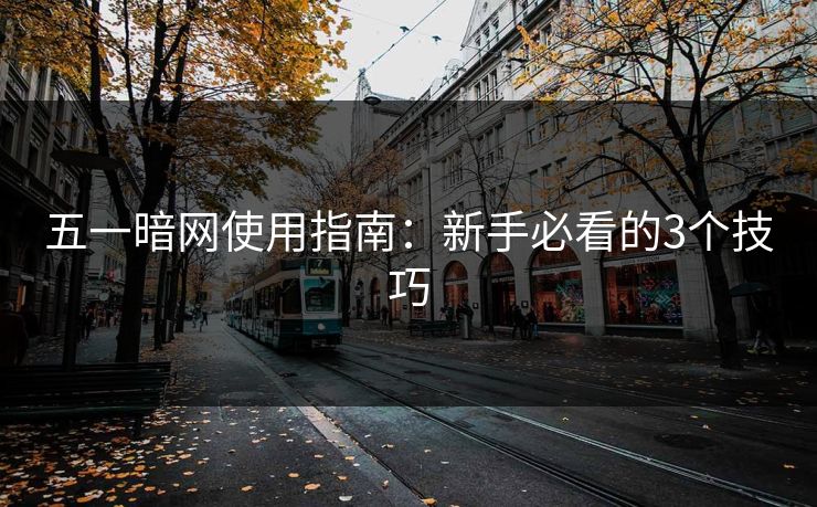 五一暗网使用指南：新手必看的3个技巧