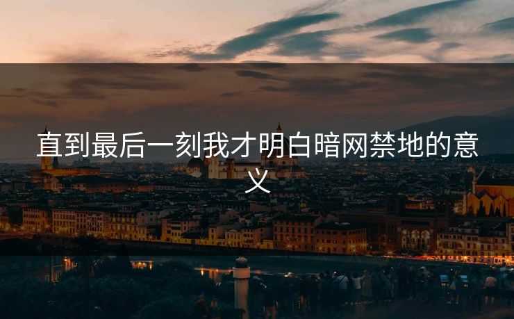 直到最后一刻我才明白暗网禁地的意义