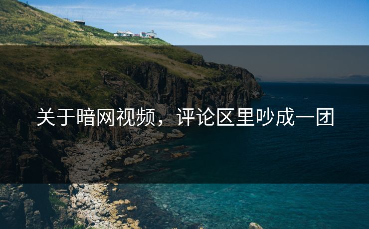 关于暗网视频，评论区里吵成一团