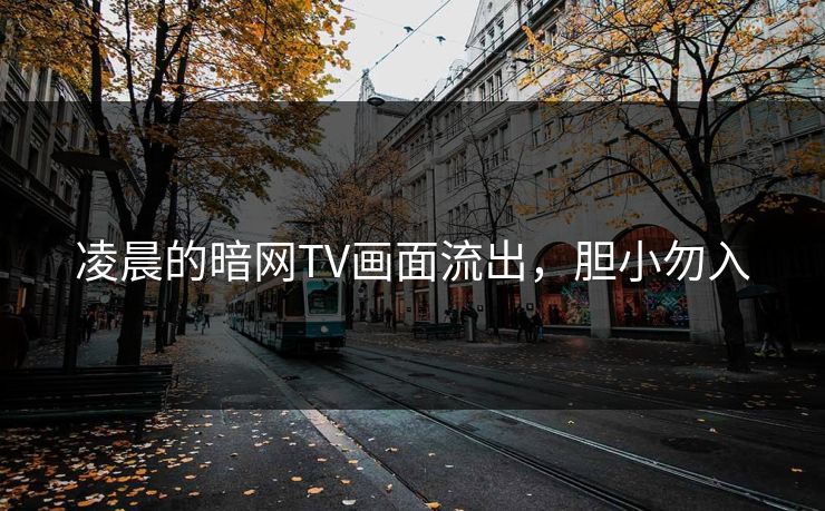 凌晨的暗网TV画面流出，胆小勿入