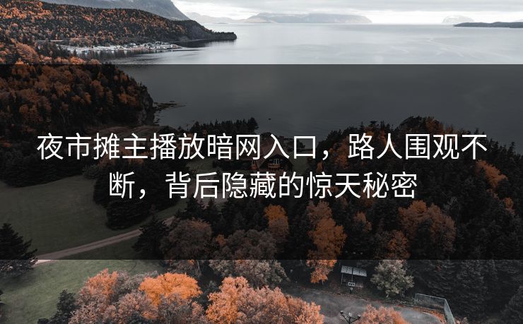 夜市摊主播放暗网入口，路人围观不断，背后隐藏的惊天秘密