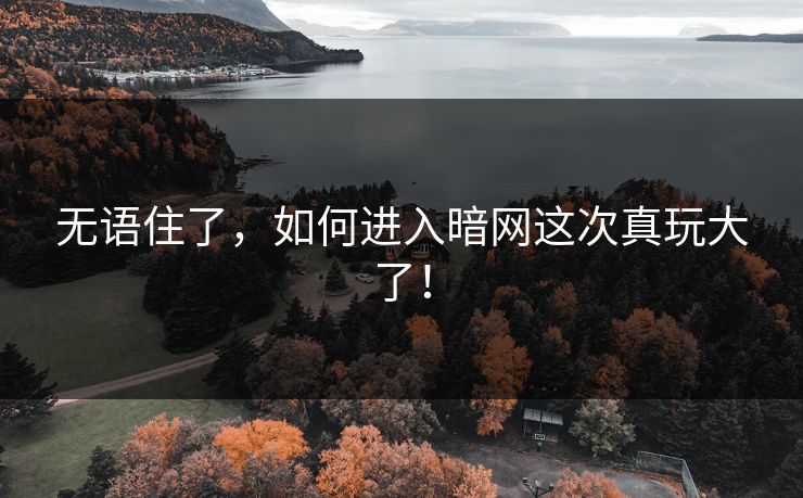 无语住了，如何进入暗网这次真玩大了！