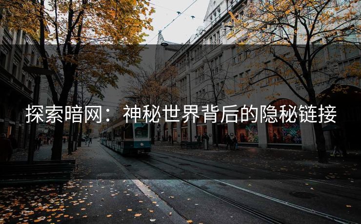 探索暗网：神秘世界背后的隐秘链接