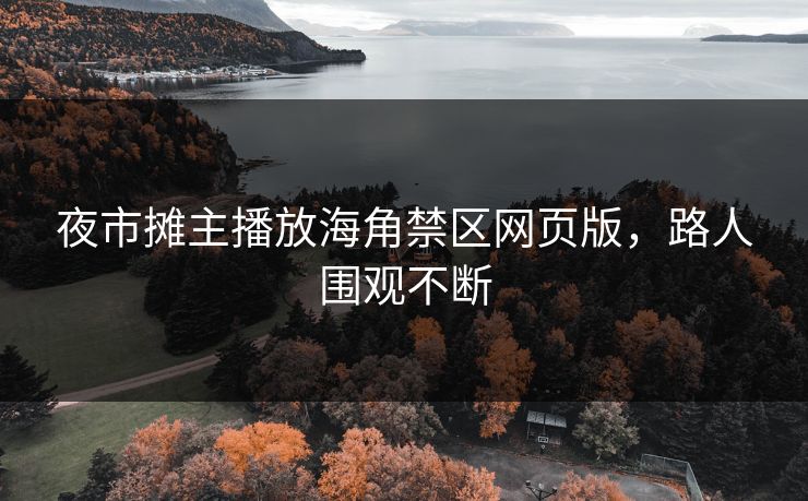 夜市摊主播放海角禁区网页版，路人围观不断