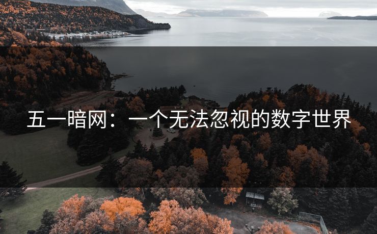 五一暗网：一个无法忽视的数字世界
