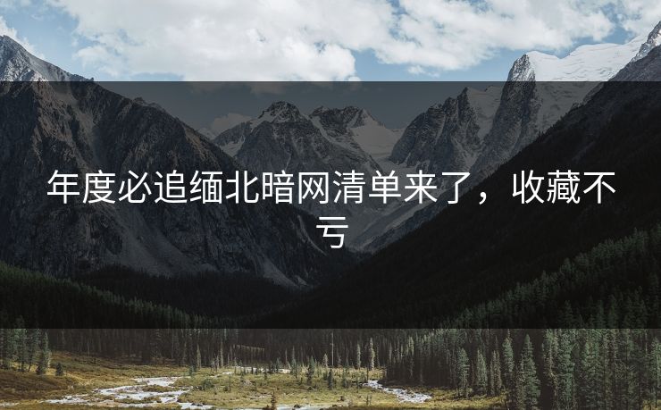 年度必追缅北暗网清单来了，收藏不亏