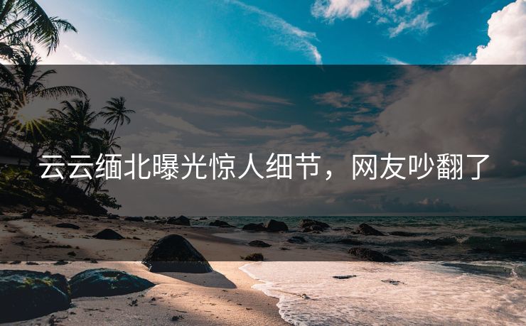 云云缅北曝光惊人细节,网友吵翻了