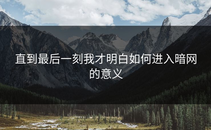 直到最后一刻我才明白如何进入暗网的意义
