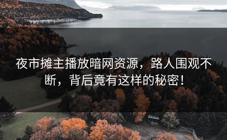 夜市摊主播放暗网资源，路人围观不断，背后竟有这样的秘密！