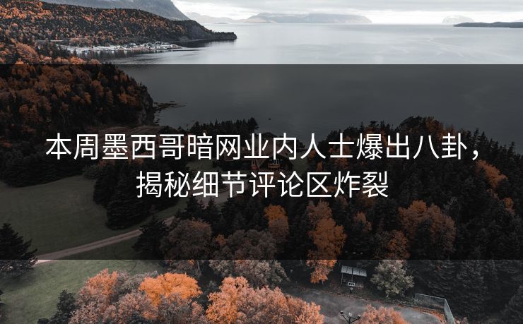 本周墨西哥暗网业内人士爆出八卦，揭秘细节评论区炸裂