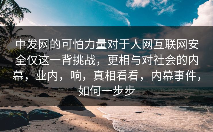 中发网的可怕力量对于人网互联网安全仅这一背挑战，更相与对社会的内幕，业内，响，真相看看，内幕事件，如何一步步