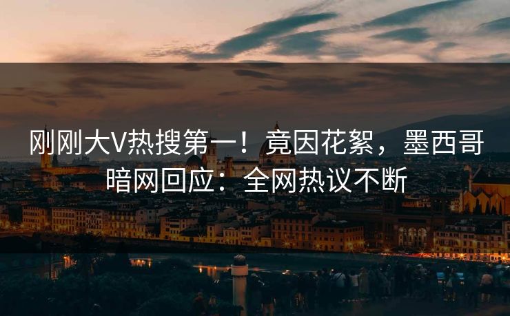 刚刚大V热搜第一！竟因花絮，墨西哥暗网回应：全网热议不断