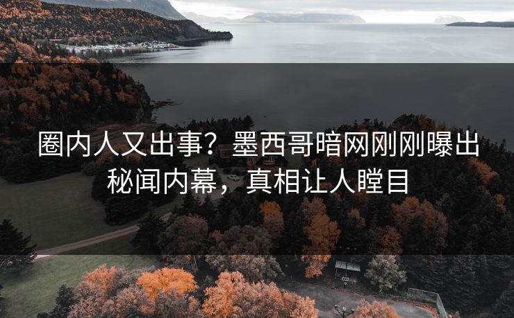 圈内人又出事？墨西哥暗网刚刚曝出秘闻内幕，真相让人瞠目