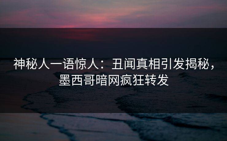 神秘人一语惊人：丑闻真相引发揭秘，墨西哥暗网疯狂转发