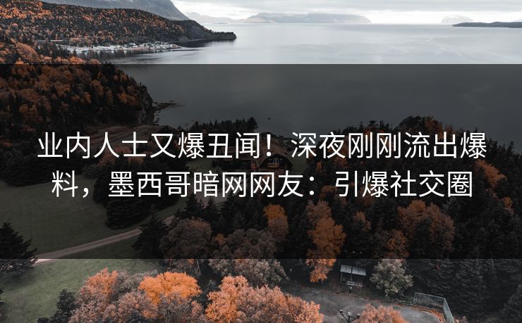 业内人士又爆丑闻！深夜刚刚流出爆料，墨西哥暗网网友：引爆社交圈