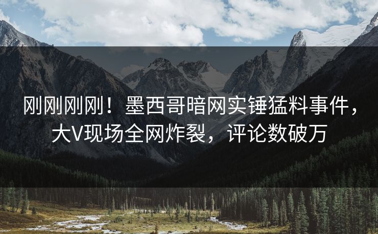 刚刚刚刚！墨西哥暗网实锤猛料事件，大V现场全网炸裂，评论数破万