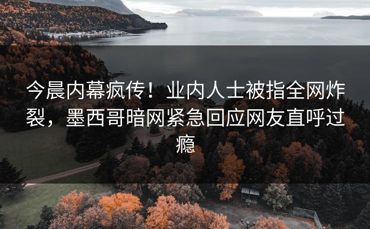 今晨内幕疯传！业内人士被指全网炸裂，墨西哥暗网紧急回应网友直呼过瘾