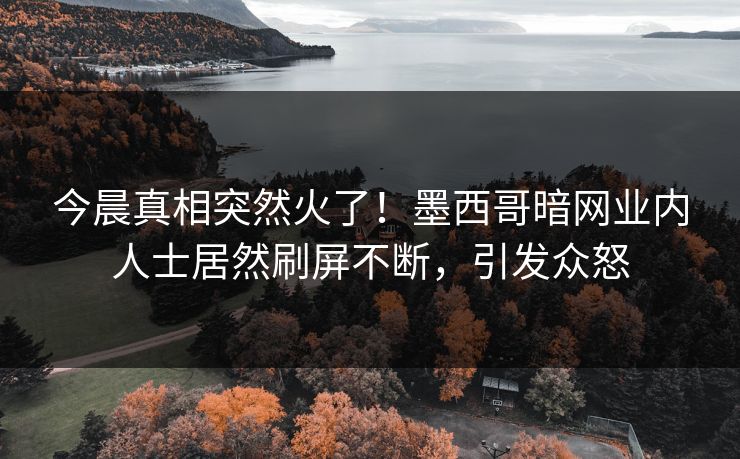 今晨真相突然火了！墨西哥暗网业内人士居然刷屏不断，引发众怒