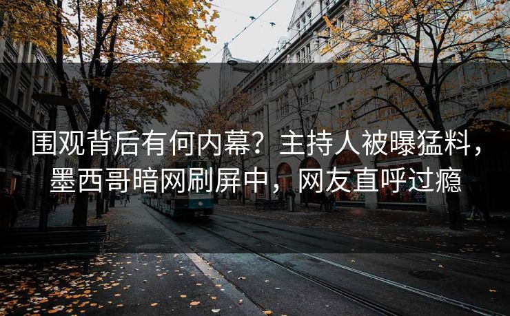 围观背后有何内幕？主持人被曝猛料，墨西哥暗网刷屏中，网友直呼过瘾