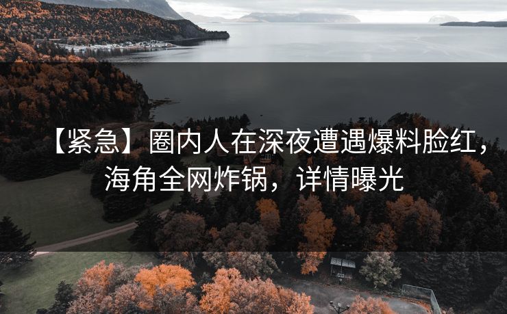【紧急】圈内人在深夜遭遇爆料脸红，海角全网炸锅，详情曝光