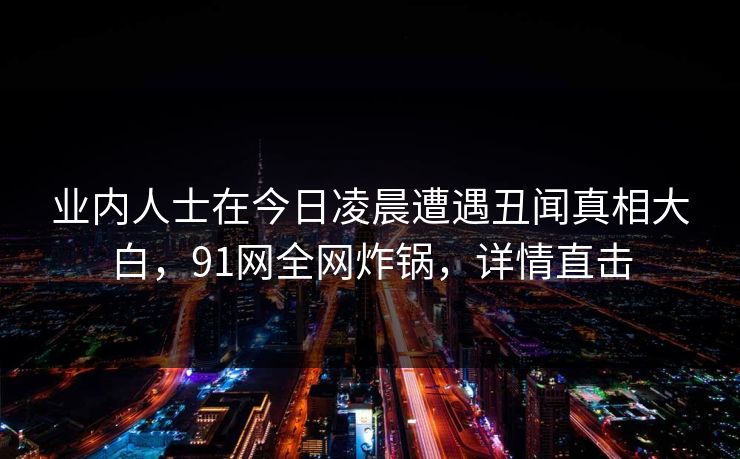 业内人士在今日凌晨遭遇丑闻真相大白，91网全网炸锅，详情直击