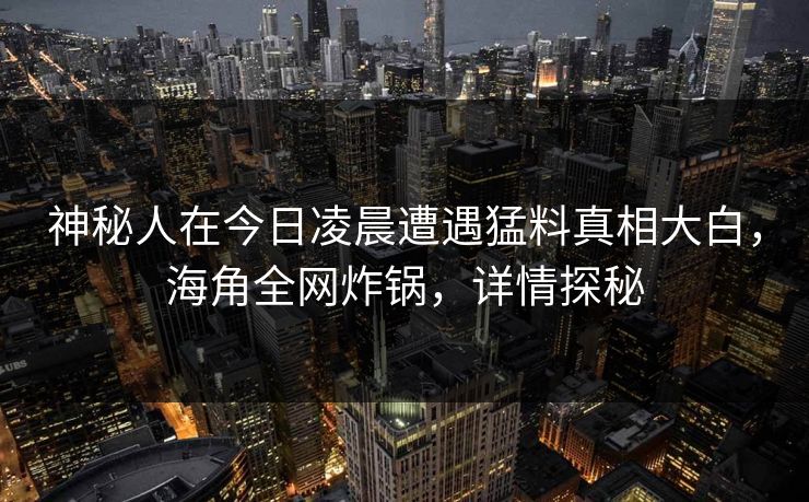 神秘人在今日凌晨遭遇猛料真相大白，海角全网炸锅，详情探秘