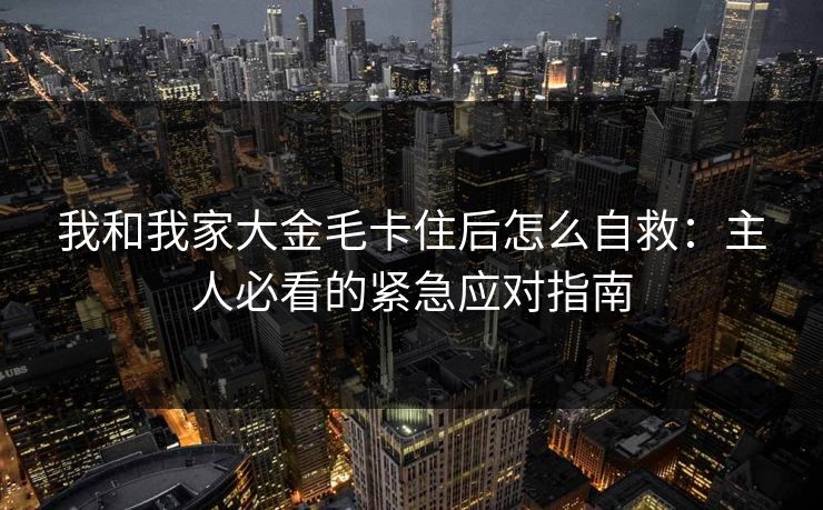 我和我家大金毛卡住后怎么自救：主人必看的紧急应对指南