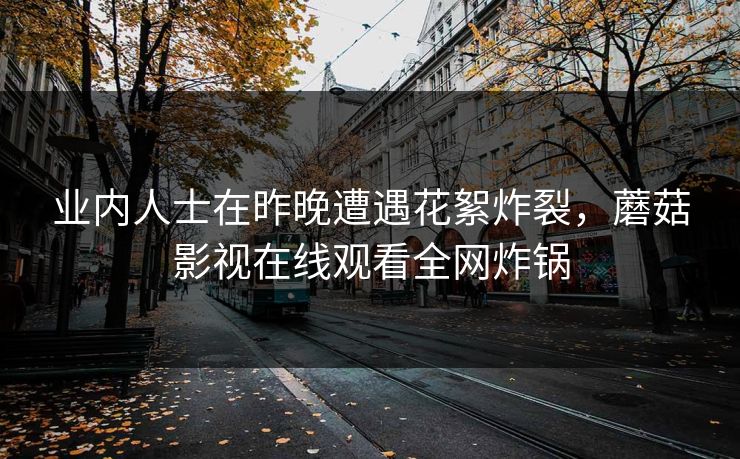 业内人士在昨晚遭遇花絮炸裂，蘑菇影视在线观看全网炸锅