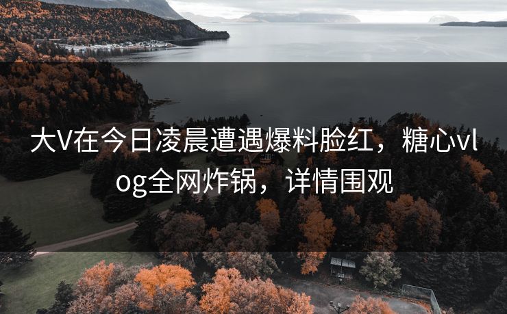 大V在今日凌晨遭遇爆料脸红，糖心vlog全网炸锅，详情围观