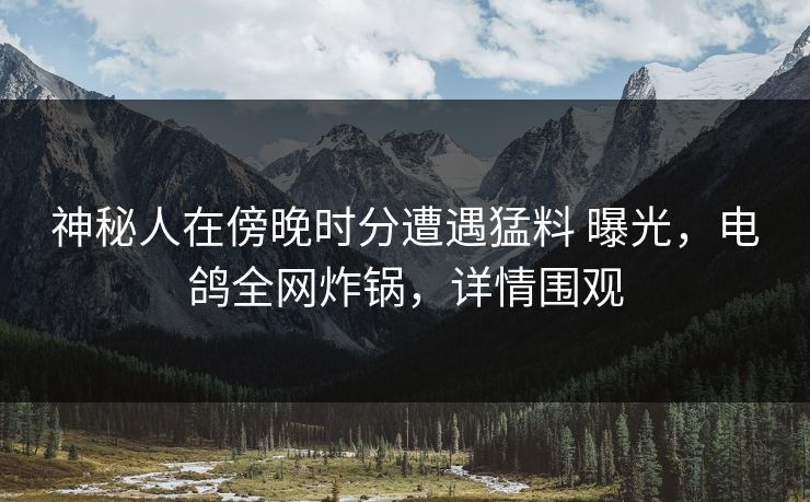 神秘人在傍晚时分遭遇猛料 曝光，电鸽全网炸锅，详情围观